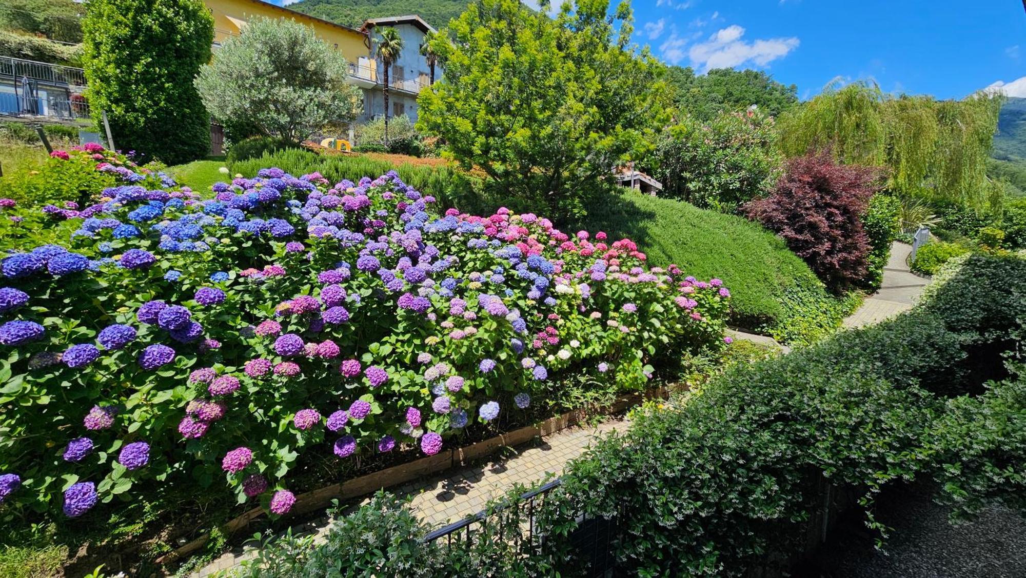 Il Giardino Di Lory Apartment Vercana Екстериор снимка